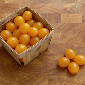 Blondkopfchen, Tomato Seeds